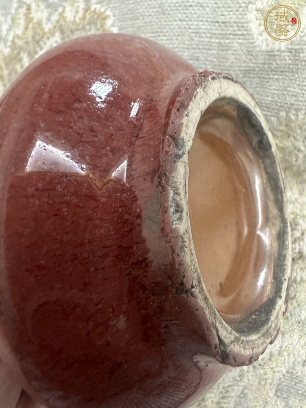 古玩陶瓷紅釉水盂真品鑒賞圖