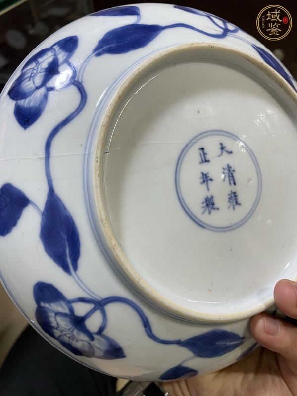 古玩陶瓷青花花卉紋盤真品鑒賞圖