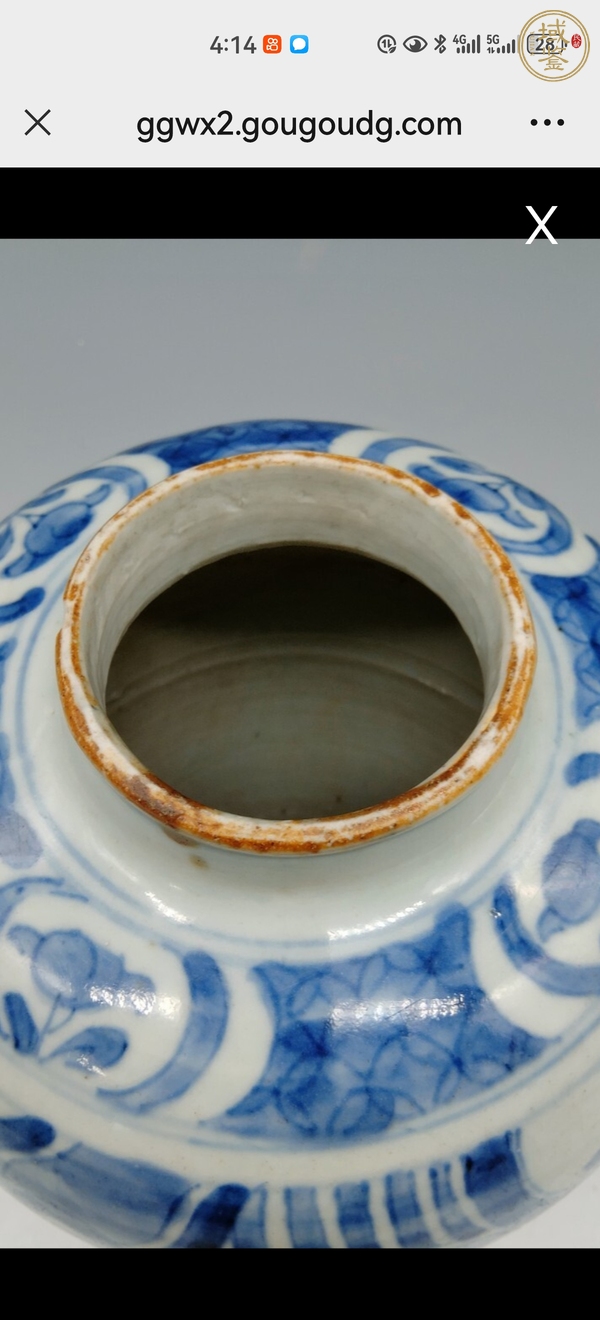 古玩陶瓷五子登科青花罐真品鑒賞圖