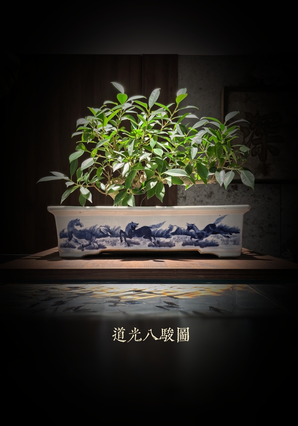 古玩轉賣道光青花八駿圖四方花盆拍賣，當前價格9800元