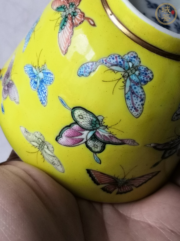 古玩陶瓷光緒黃底粉彩杯真品鑒賞圖