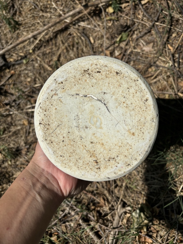 古玩陶瓷明末清初順治青花山水高士圖大花觚拍賣,當前價格28000元