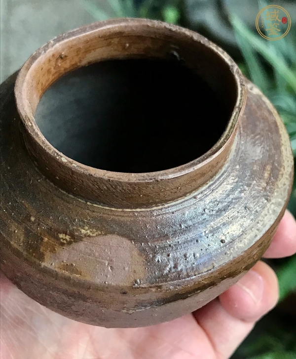 古玩陶瓷洪塘窯褐釉茶入真品鑒賞圖