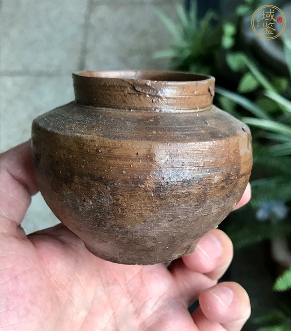 古玩陶瓷洪塘窯褐釉茶入真品鑒賞圖