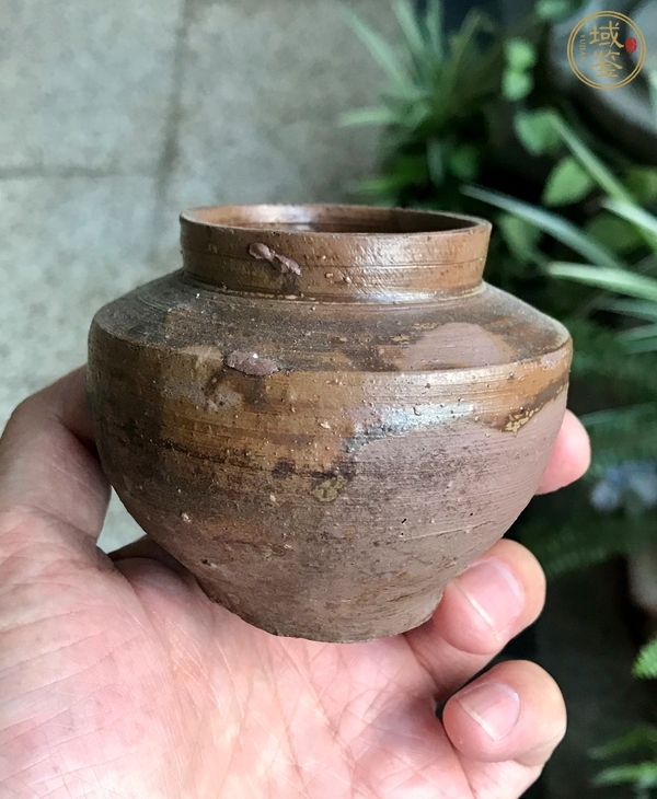 古玩陶瓷洪塘窯褐釉茶入真品鑒賞圖