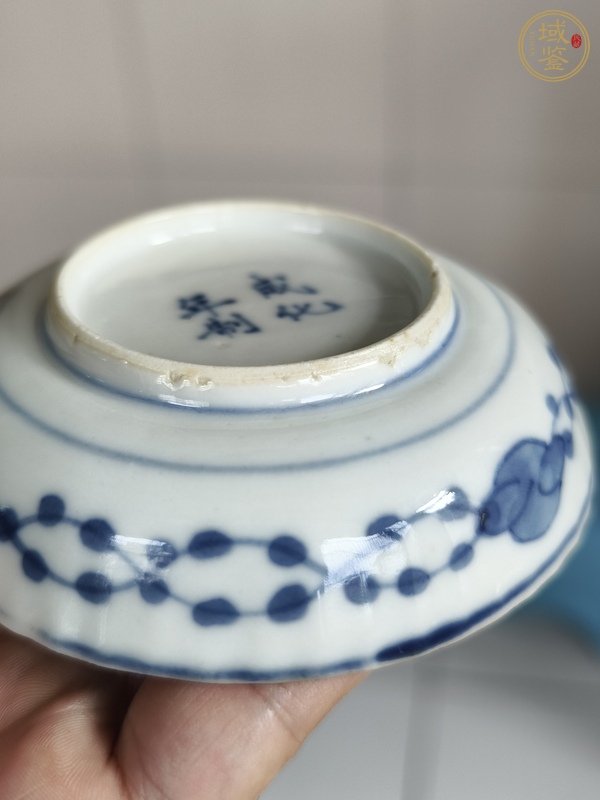 古玩陶瓷青花蝦蟹圖花口盤真品鑒賞圖