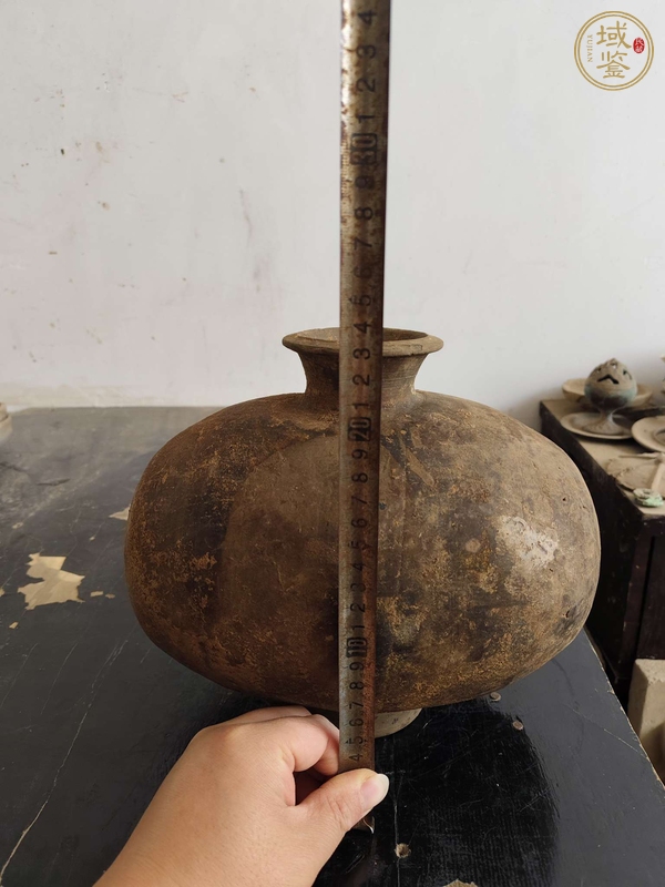 古玩陶瓷壺真品鑒賞圖