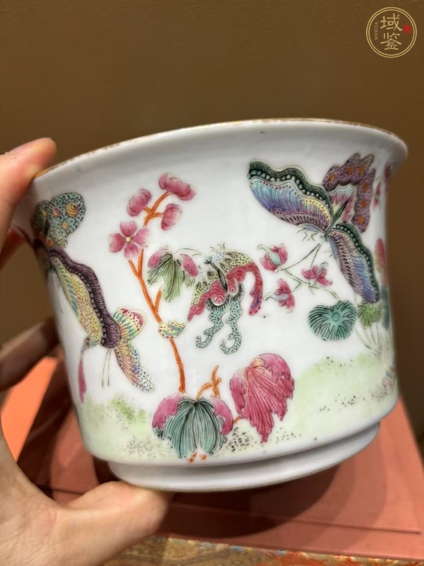 古玩陶瓷粉彩碗真品鑒賞圖