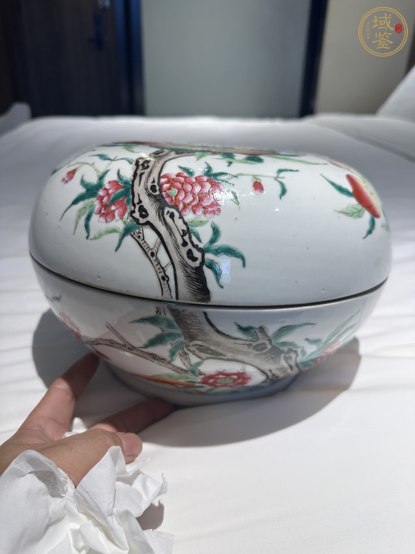 古玩陶瓷粉彩九桃捧盒真品鑒賞圖