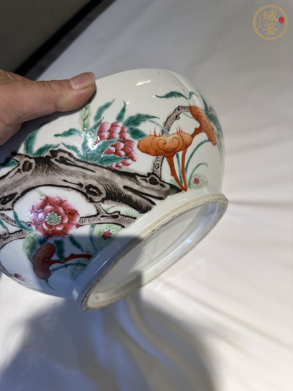 古玩陶瓷粉彩九桃捧盒真品鑒賞圖