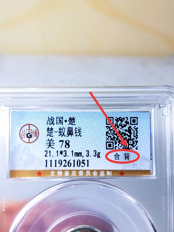 古玩錢幣戰(zhàn) 國(guó) -楚 蟻鼻錢{合背}拍賣,當(dāng)前價(jià)格498元