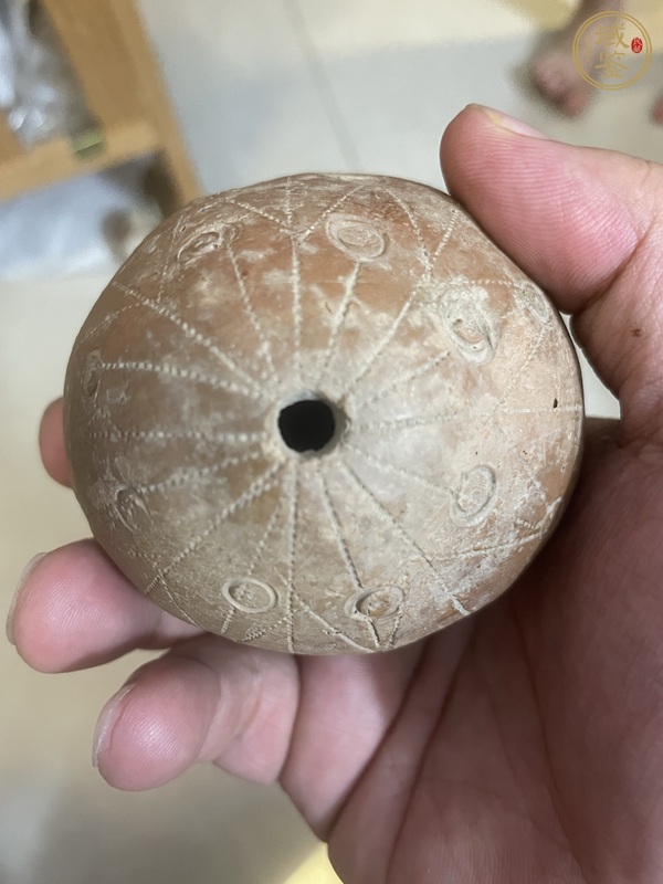 古玩陶瓷明末清初陶器真品鑒賞圖
