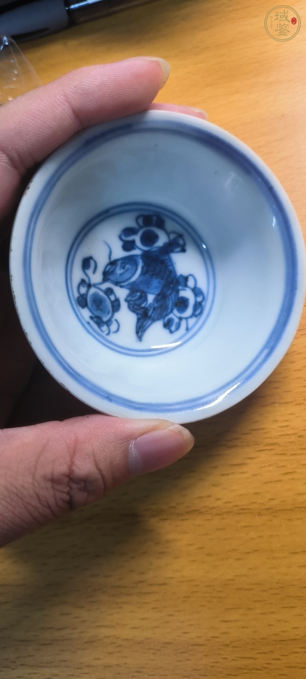 古玩陶瓷紫金釉青花魚藻紋杯，疑似復窯真品鑒賞圖