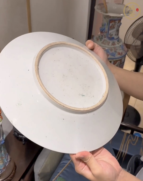 古玩陶瓷粉彩花鳥紋盤真品鑒賞圖
