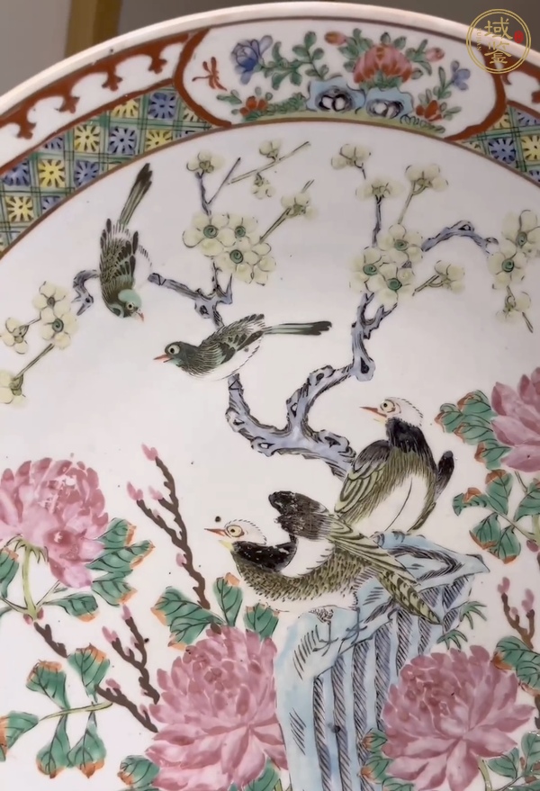 古玩陶瓷粉彩花鳥紋盤真品鑒賞圖