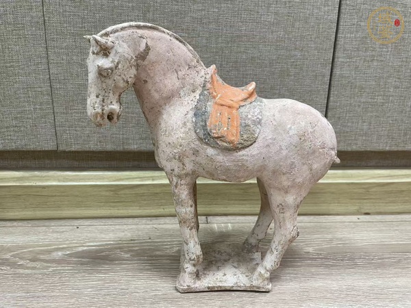 古玩唐·俊馬真品鑒賞圖