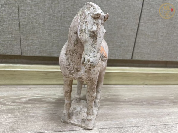 古玩陶瓷唐·俊馬真品鑒賞圖