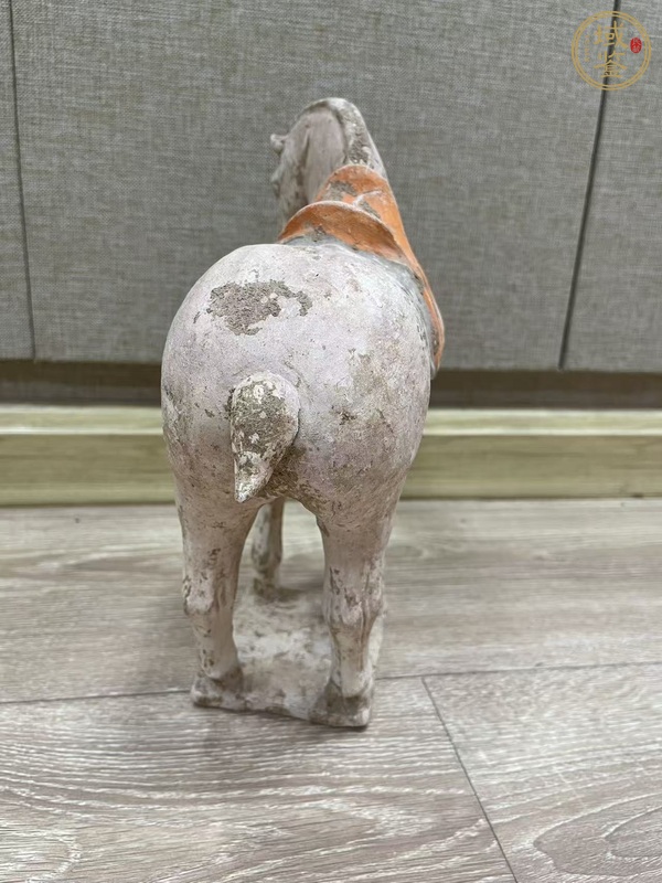 古玩陶瓷唐·俊馬真品鑒賞圖