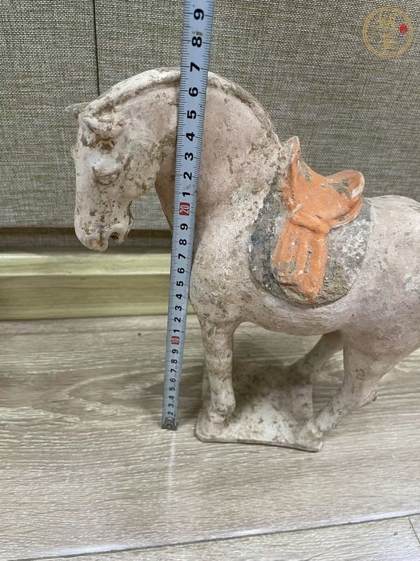 古玩陶瓷唐·俊馬真品鑒賞圖