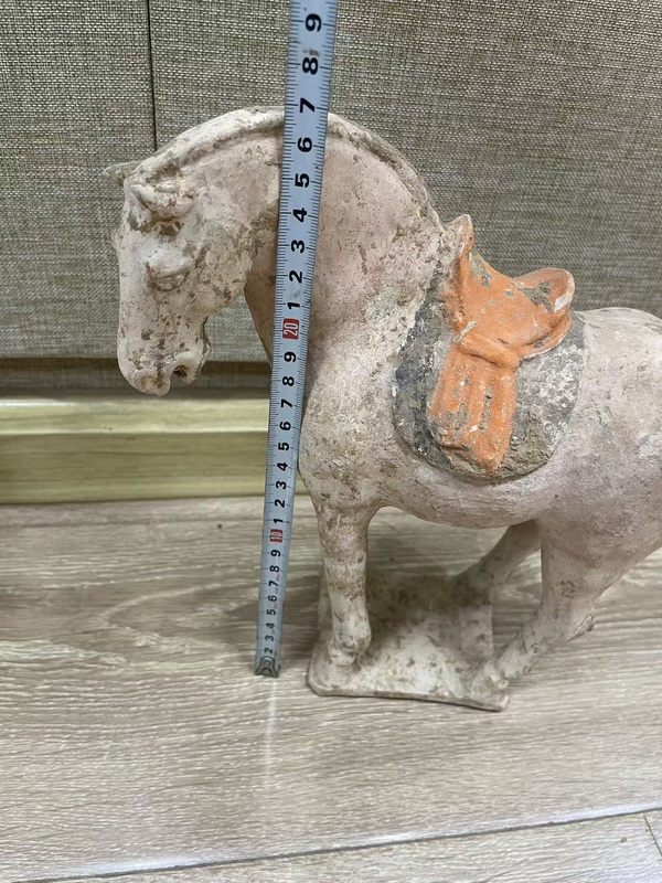 古玩陶瓷唐·俊馬拍賣,當前價格0元