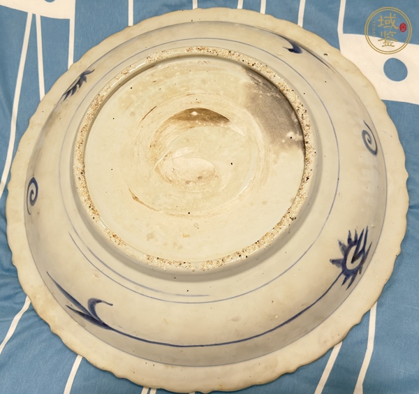 古玩陶瓷青花鳳穿牡丹圖花口盤真品鑒賞圖