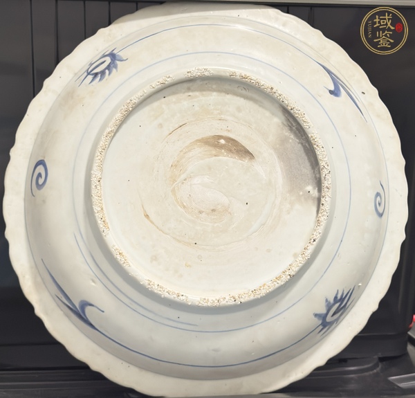 古玩陶瓷青花鳳穿牡丹圖花口盤真品鑒賞圖