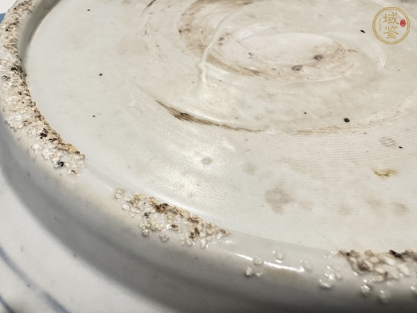 古玩陶瓷青花鳳穿牡丹圖花口盤真品鑒賞圖