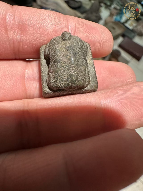 古玩玉器地方玉雕“龜鈕印”真品鑒賞圖