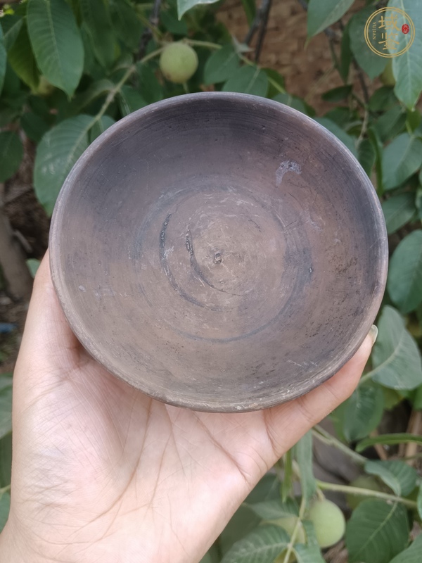 古玩陶瓷茶盞真品鑒賞圖