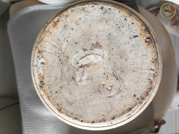 古玩陶瓷青花五彩開窗花卉紋罐真品鑒賞圖