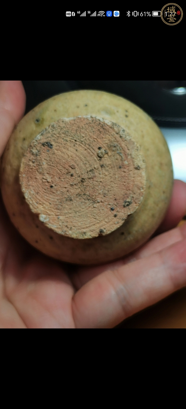 古玩陶瓷青釉盤口壺真品鑒賞圖