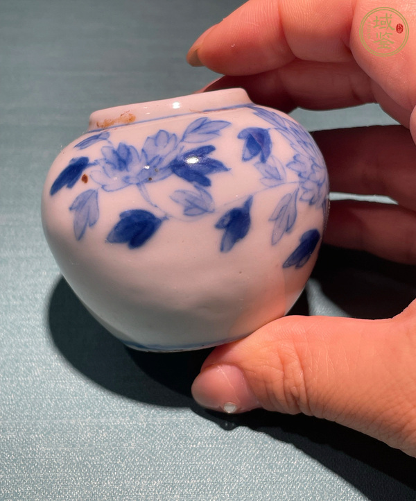 古玩陶瓷青花花卉紋水盂真品鑒賞圖