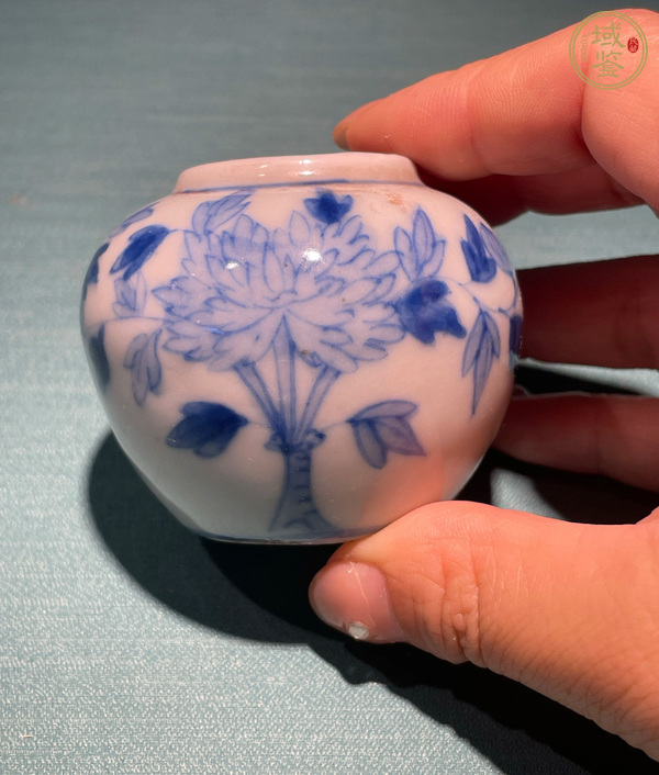 古玩陶瓷青花花卉紋水盂真品鑒賞圖