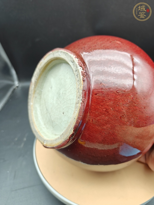 古玩陶瓷紅釉罐真品鑒賞圖