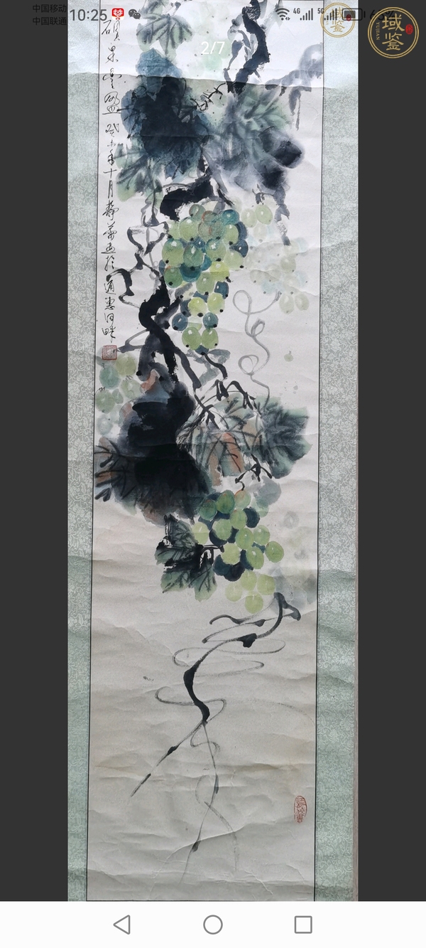 古玩字畫靜蕾款寫意葡萄真品鑒賞圖