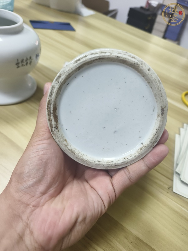 古玩陶瓷淺絳彩花鳥紋罐真品鑒賞圖