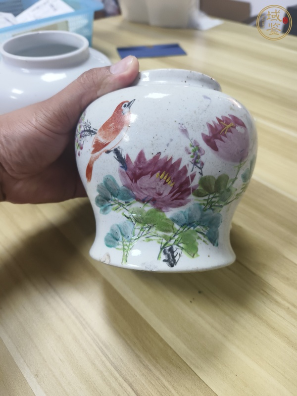 古玩陶瓷淺絳彩花鳥紋罐真品鑒賞圖