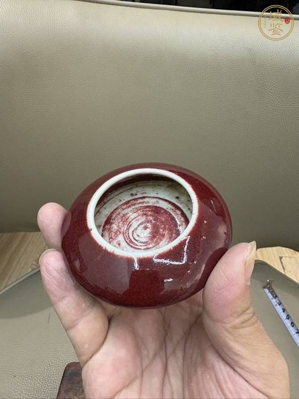 古玩陶瓷郎紅釉水盂真品鑒賞圖