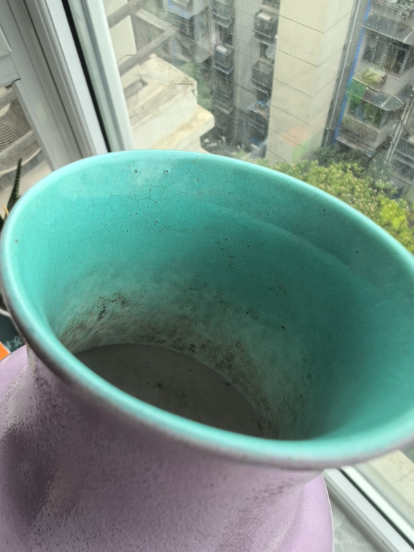 古玩陶瓷晚清胭脂粉釉觀音瓶拍賣,當前價格10000元