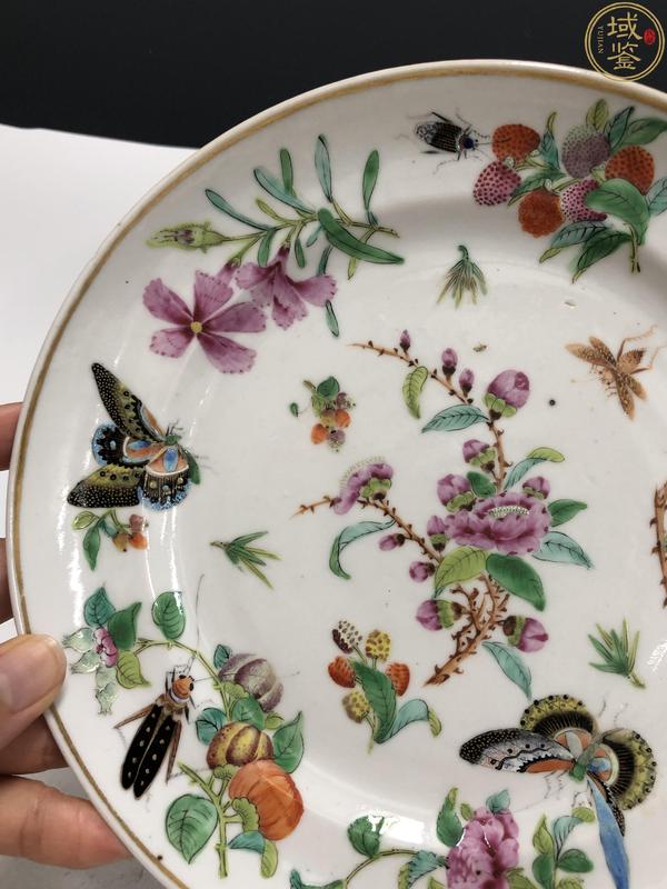 古玩陶瓷清晚·廣彩花蝶紋盤拍賣，當前價格3800元