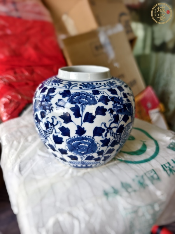 古玩陶瓷花間龍紋青花罐真品鑒賞圖