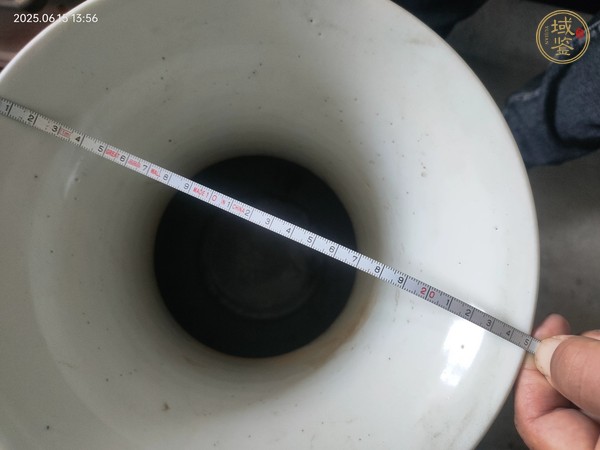 古玩陶瓷青花貫耳尊瓶真品鑒賞圖