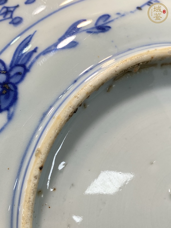 古玩陶瓷青花花卉紋盤真品鑒賞圖
