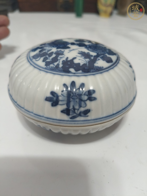 古玩陶瓷清康熙 青花花卉紋蓋盒真品鑒賞圖