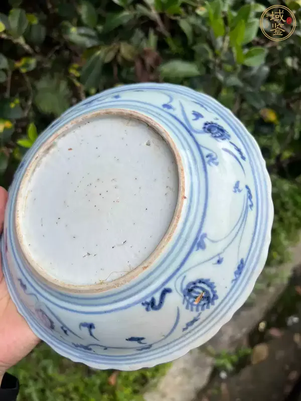 古玩宣德麒麟望月青花盤真品鑒賞圖