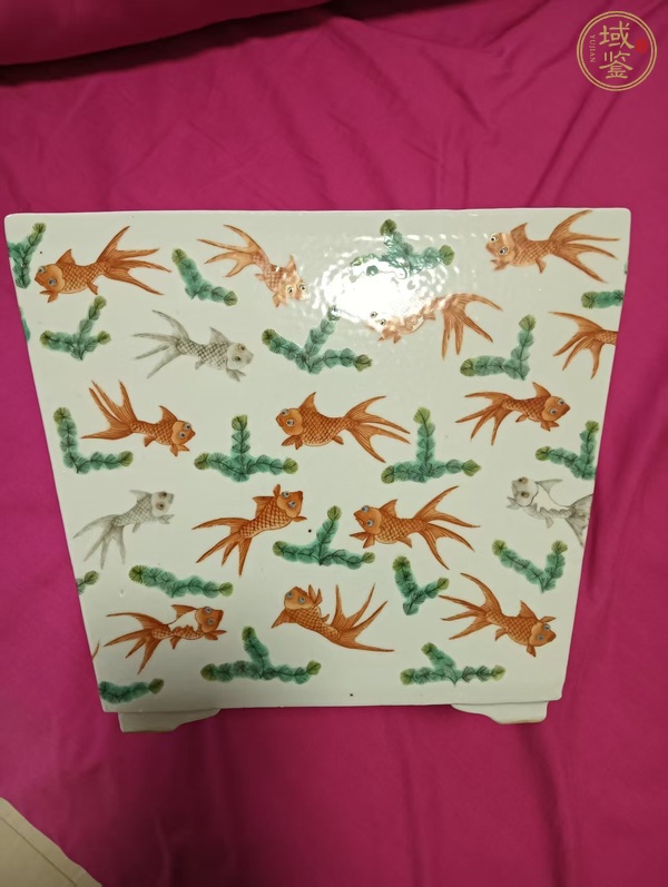 古玩陶瓷魚藻紋四方花盆真品鑒賞圖