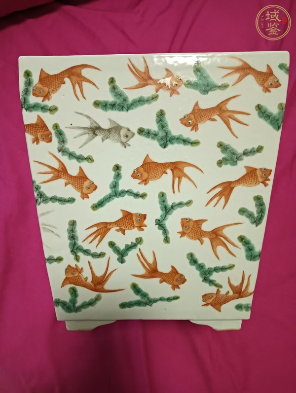 古玩陶瓷魚藻紋四方花盆真品鑒賞圖