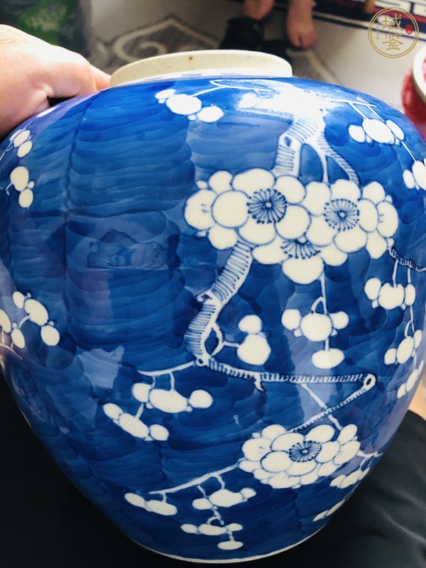 古玩青花留白冰梅紋罐真品鑒賞圖