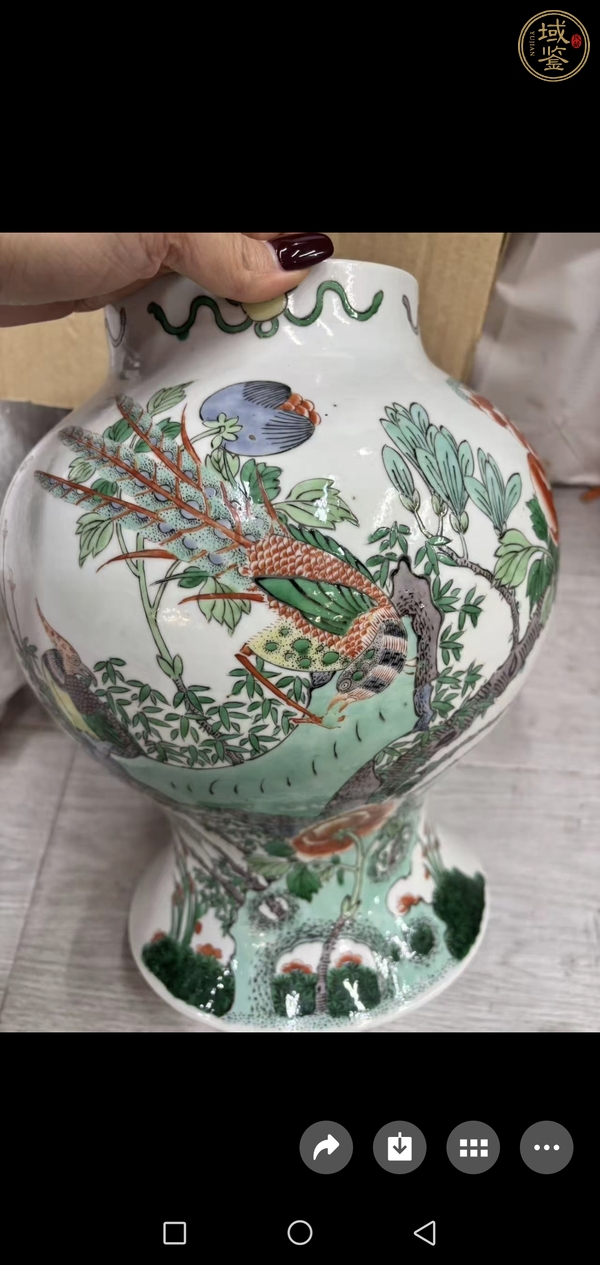 古玩陶瓷五彩雉雞牡丹圖蓋罐真品鑒賞圖