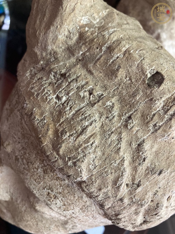 古玩雜項頭真品鑒賞圖